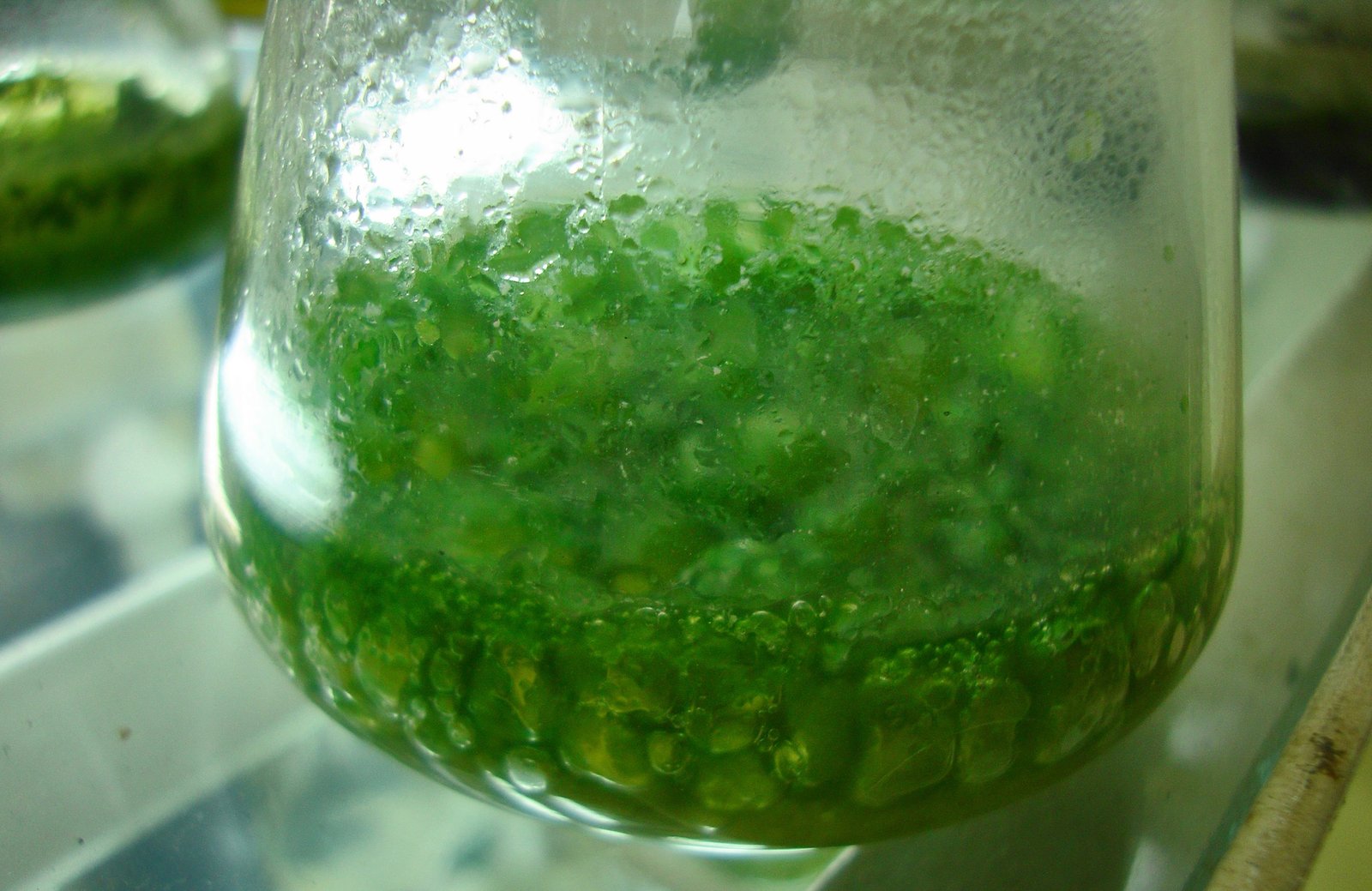 Bio Fertilizer