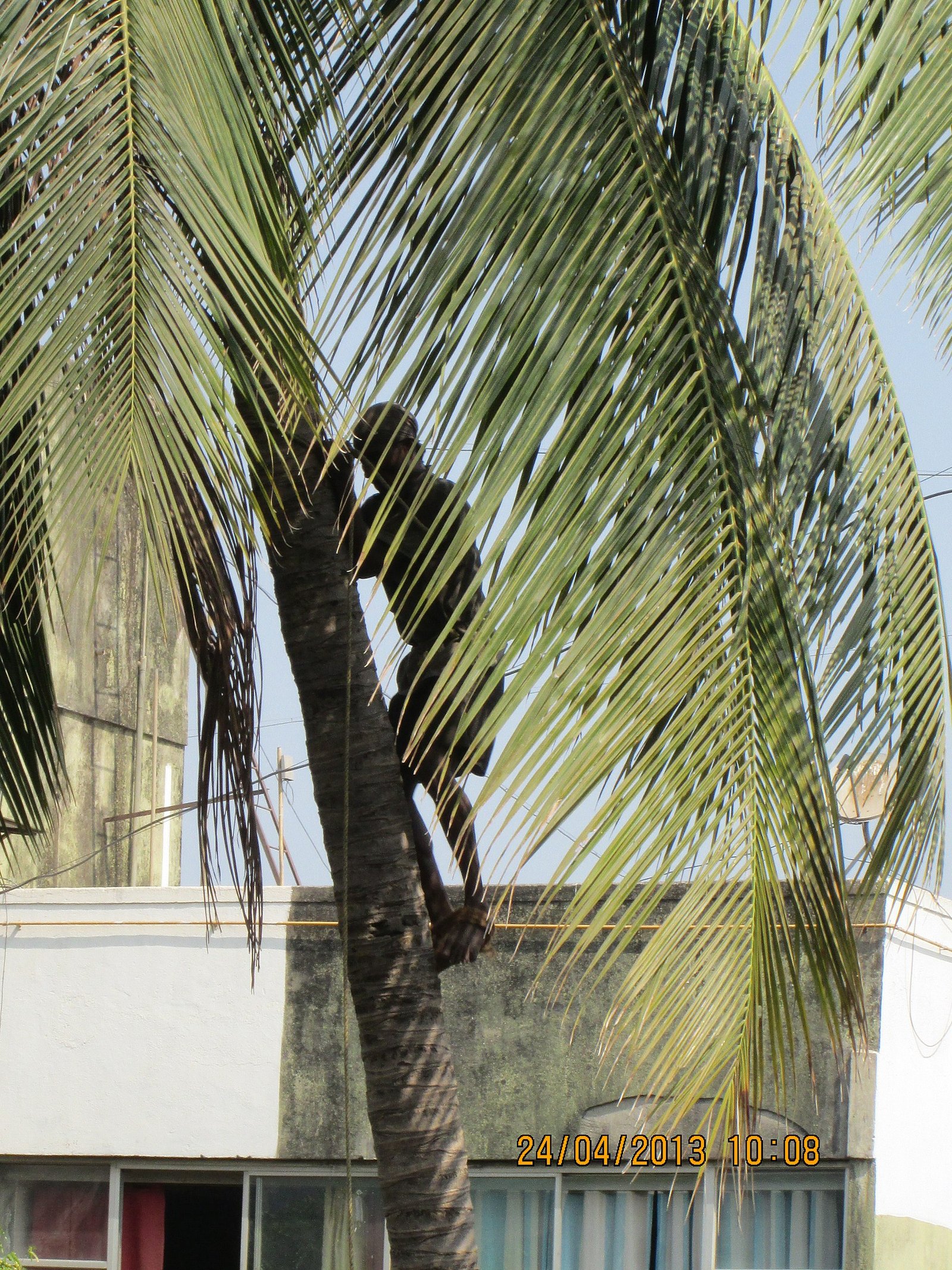 Carbon Fiber Dhoti
