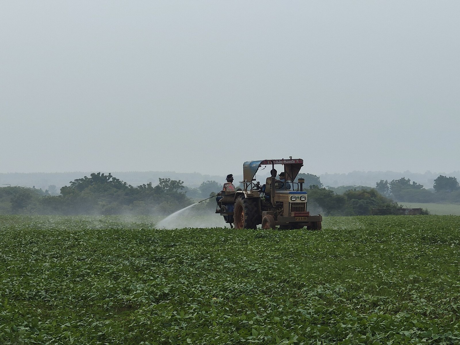 Insecticides